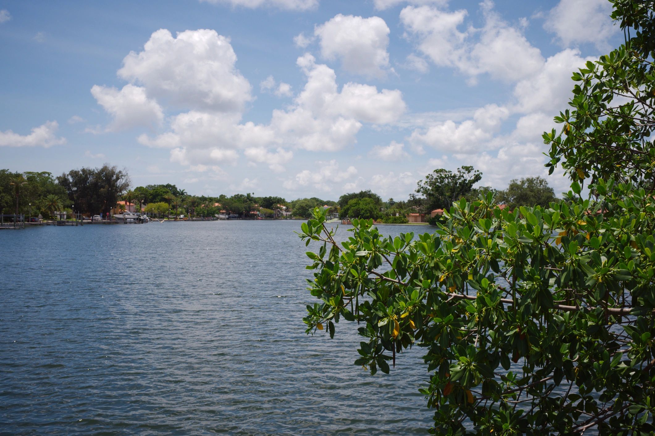 South Florida waterfront homes beneath a bright blue sky